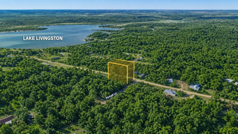 Why ParcelView3D Gives Buyers More Context Than Standard Property Platforms