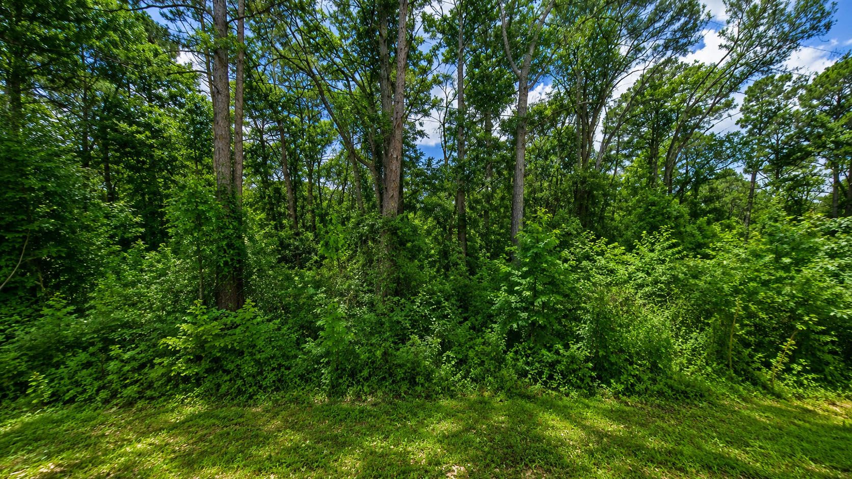 Your Lake Palestine Escape