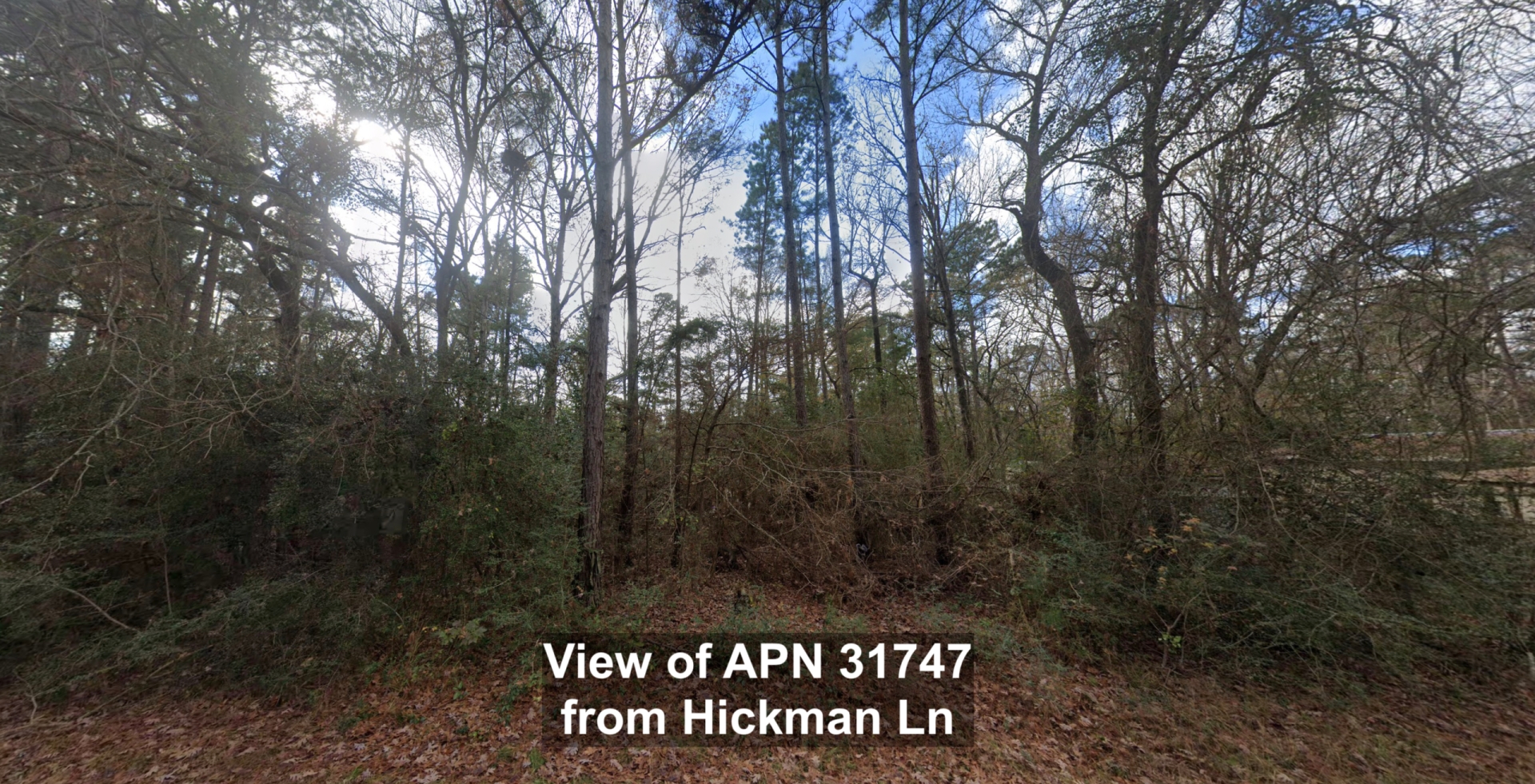 Property Photo